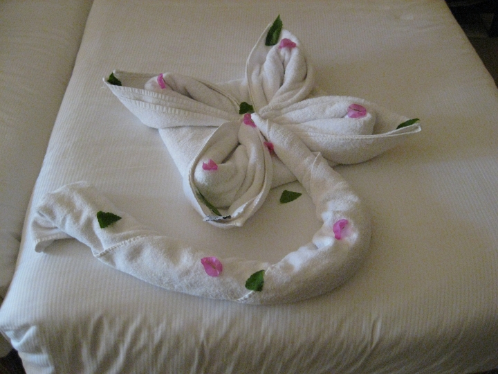 Vakantie Egypte 2010-473.jpg